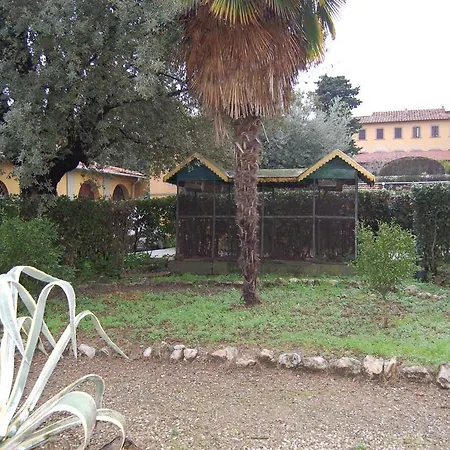 Antica Piazza Dei Miracoli B&B 피사